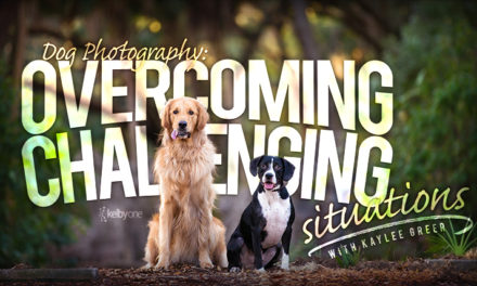 Dog Photography: Overcoming Challenging Situations