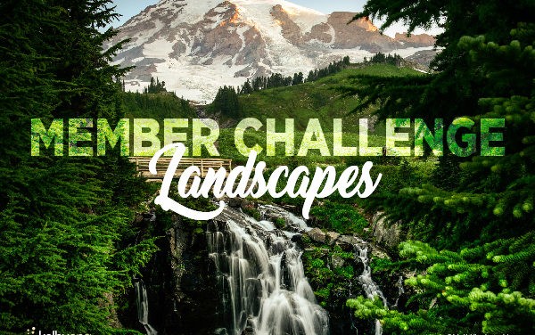 Member Challenge 1 | Landscapes