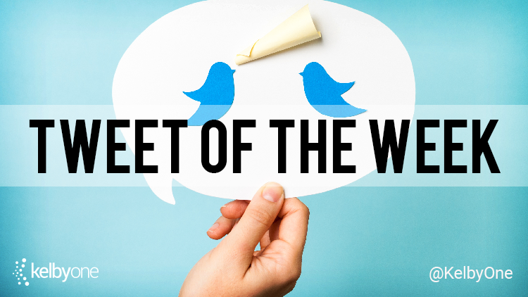 Tweet of the Week | @crowncamera