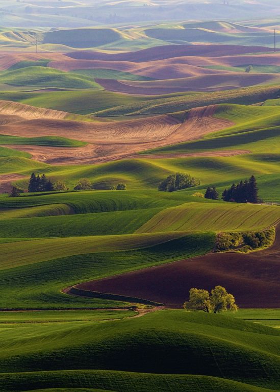 My Two Favorite Places To Photograph In The Palouse - Kelbyone Insider