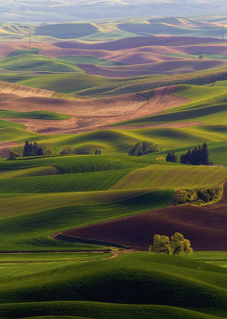 My Two Favorite Places to Photograph in the Palouse - KelbyOne Insider