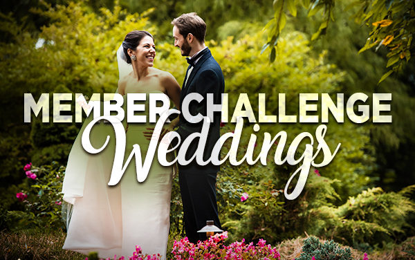 Member Challenge 8 | Weddings