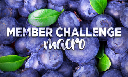Member Challenge 9 | Marco