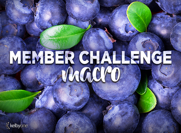 Member Challenge 9 | Marco