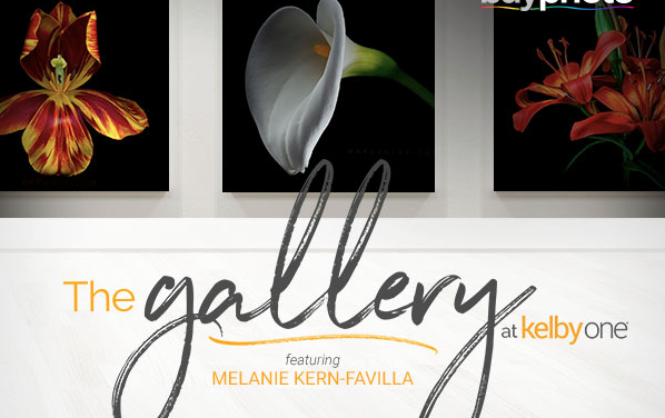 Tune in tonight at 8pm for the Second Gallery at KelbyOne opening webcast…