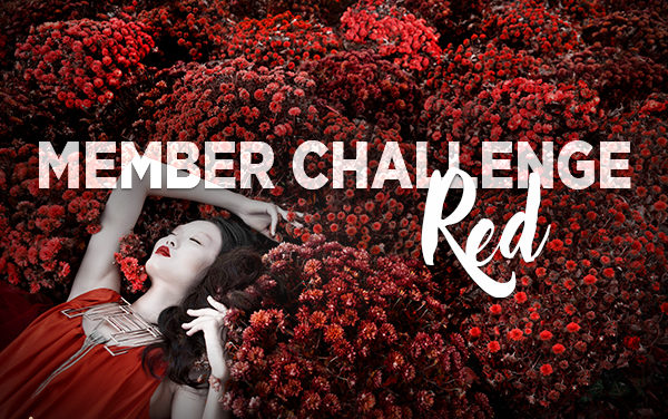 Member Challenge 11 | Red