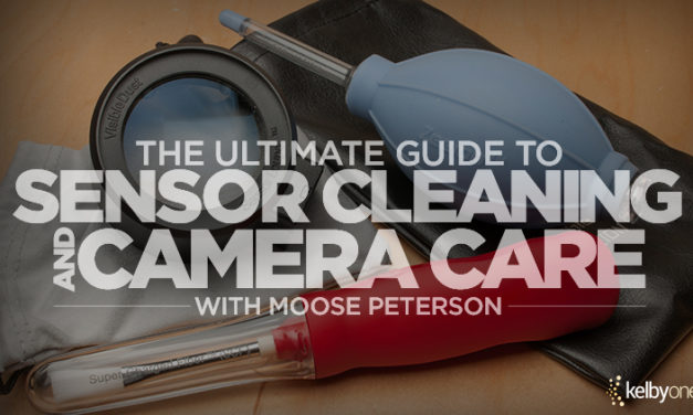 New Class Alert! The Ultimate Guide to Sensor Cleaning and Camera Care with Moose Peterson