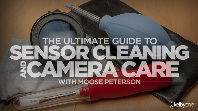 New Class Alert! The Ultimate Guide to Sensor Cleaning and Camera Care with Moose Peterson