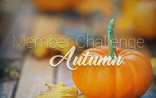 Member Challenge 16 | Autumn