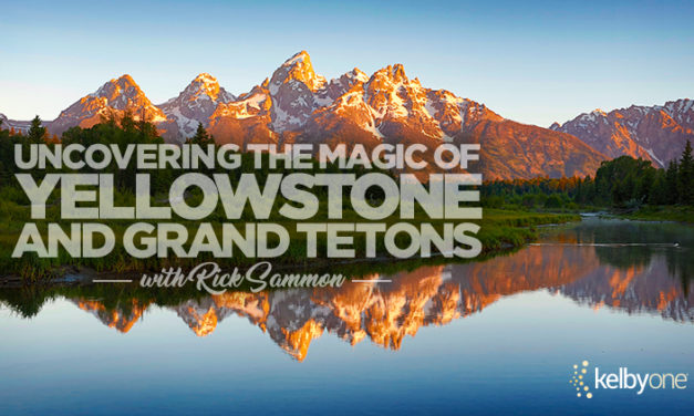 Uncovering The Magic of Yellowstone and Grand Tetons