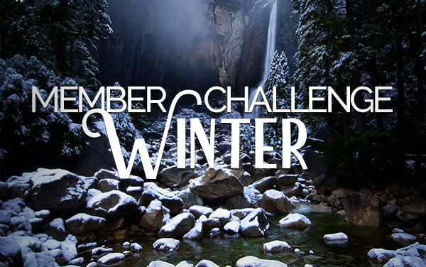 Member Challenge 17 | Winter