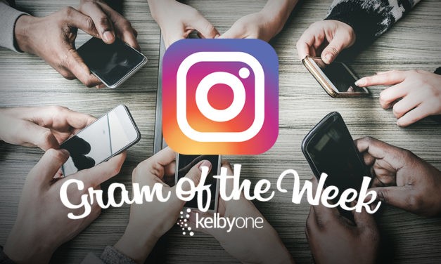 Gram of the Week | @lilyravenphotography
