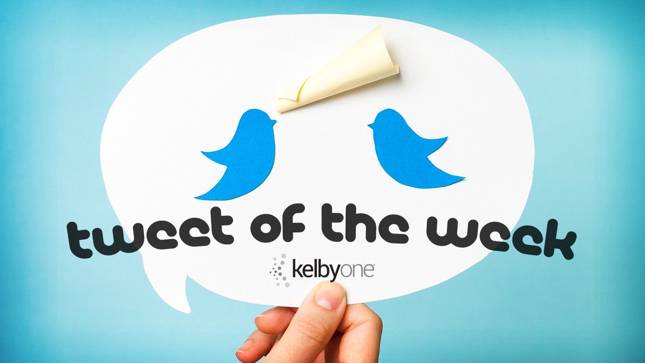 Tweet of the Week | @capturewithdave
