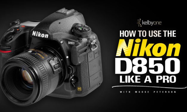 New Class Alert! How to Use the Nikon D850 Like a Pro with Moose Peterson