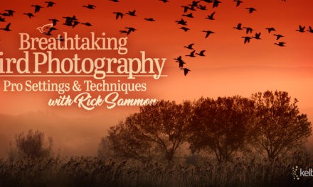 New Class Alert! Breathtaking Bird Photography: Pro Settings and Techniques with Rick Sammon