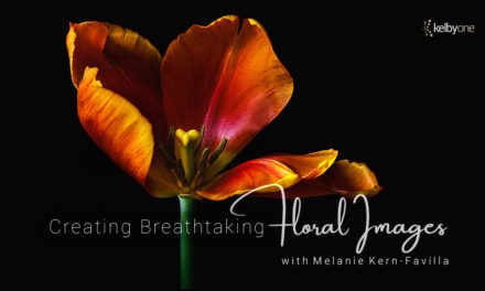 New Class Alert! Creating Breathtaking Floral Images with Melanie Kern-Favilla