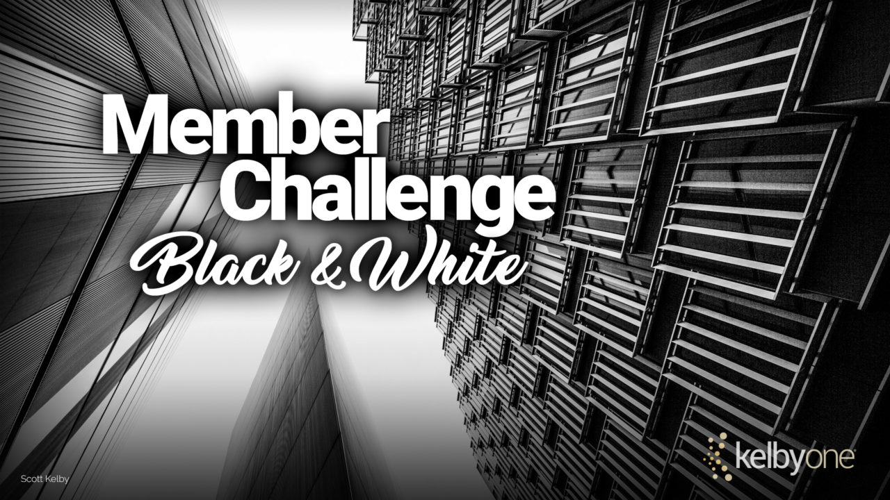 Member Challenge 23 | Black and White