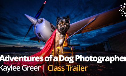 New Class Alert! Adventures of Becoming a Dog Photographer: A Behind the Scenes Look at What it Takes to Get Amazing Portraits of Dogs with Kaylee Greer