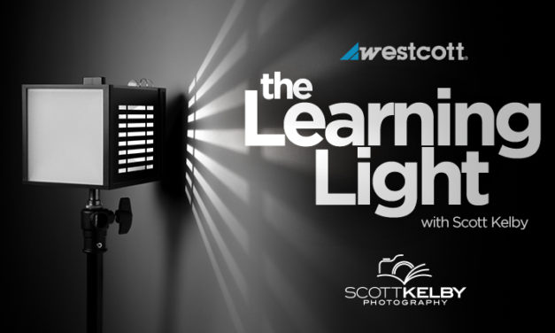 Westcott – The Learning Light with Scott Kelby