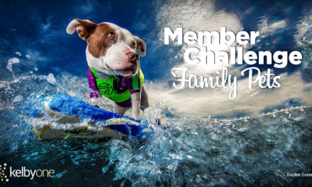Member Challenge 28 | Family Pets