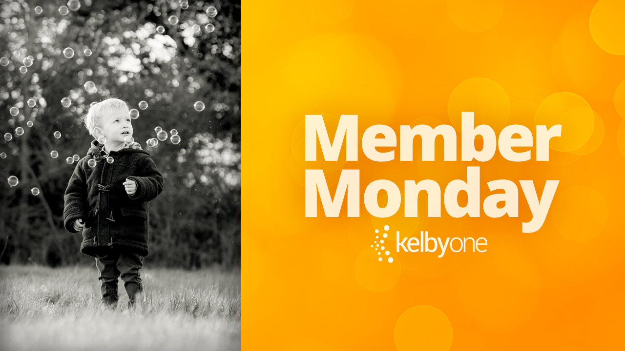 Member Monday Featuring Jane Vicente