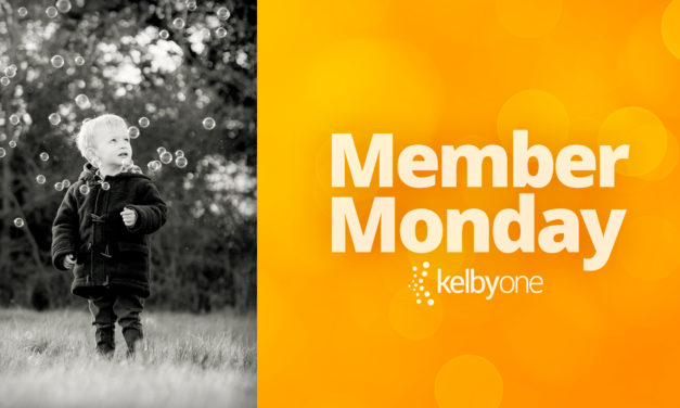 Member Monday Featuring Jane Vicente