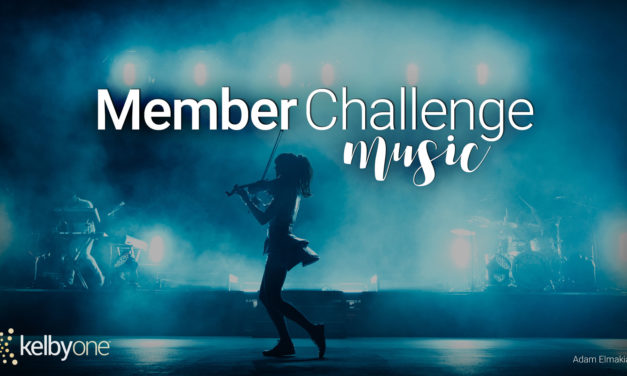 Member Challenge 29 | Music