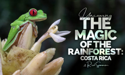 Rick Sammon | Rainforest Photo Review Part 2