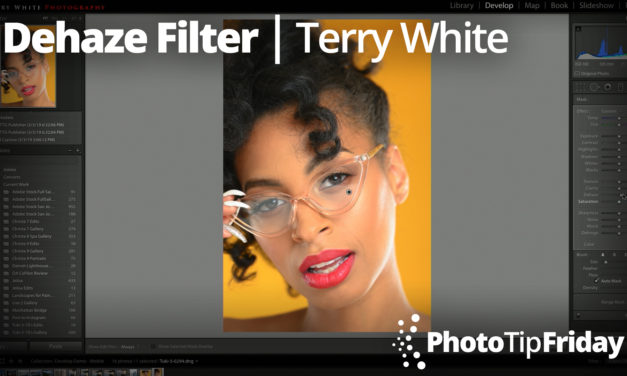 Dehaze Filter with Terry White| Photo Tip Friday