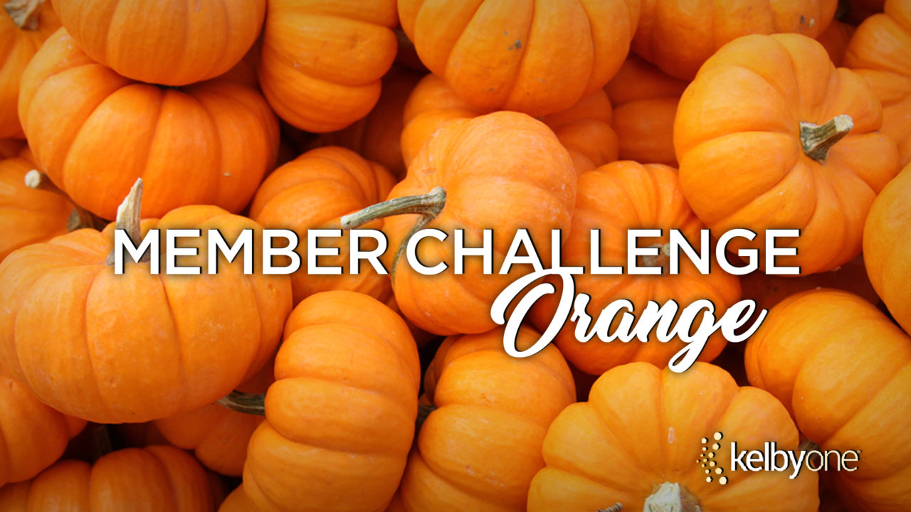 Member Challenge 33 | Orange