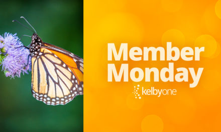 Member Monday Featuring Scott Delony