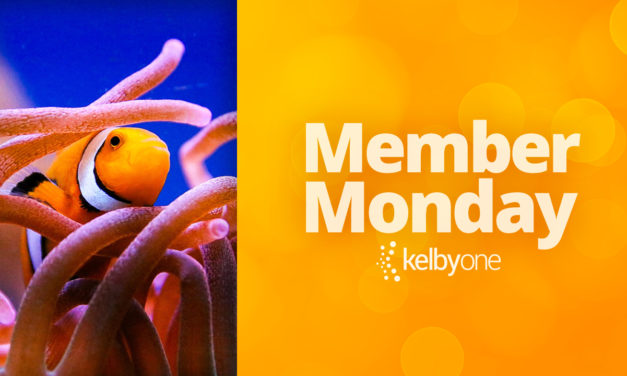 Member Monday Featuring  Jessica Ankie