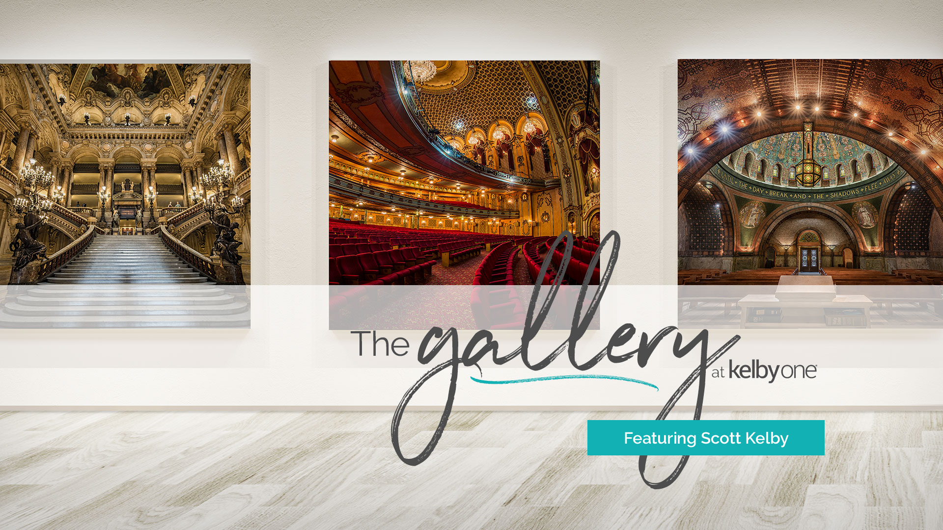 The Gallery at KelbyOne Featuring Scott Kelby - KelbyOne Insider