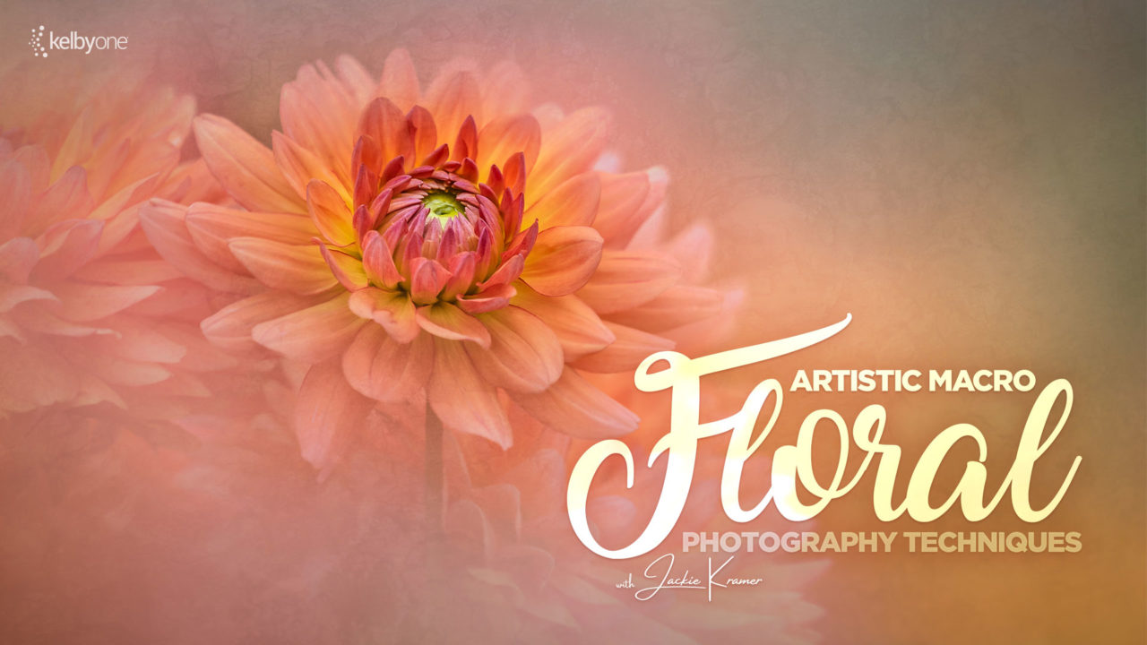 New Class Alert! Artistic Macro Floral Photography Techniques with Jackie Kramer