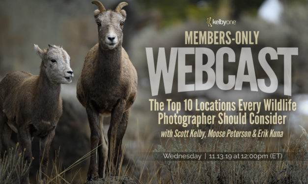 Members Only Webcast | The Top 10 Locations Every Wildlife Photographer Should Consider with Scott Kelby, Moose Peterson, and Erik Kuna
