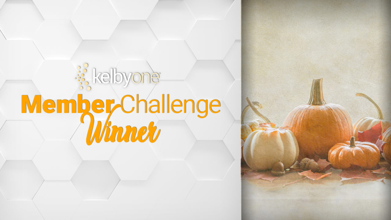 Member Challenge 33 Winner | Lisa Bell