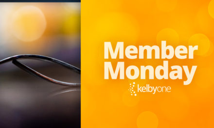 Member Monday featuring Sarah Samaan