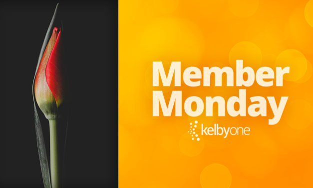 Member Monday Featuring Arnold Certa