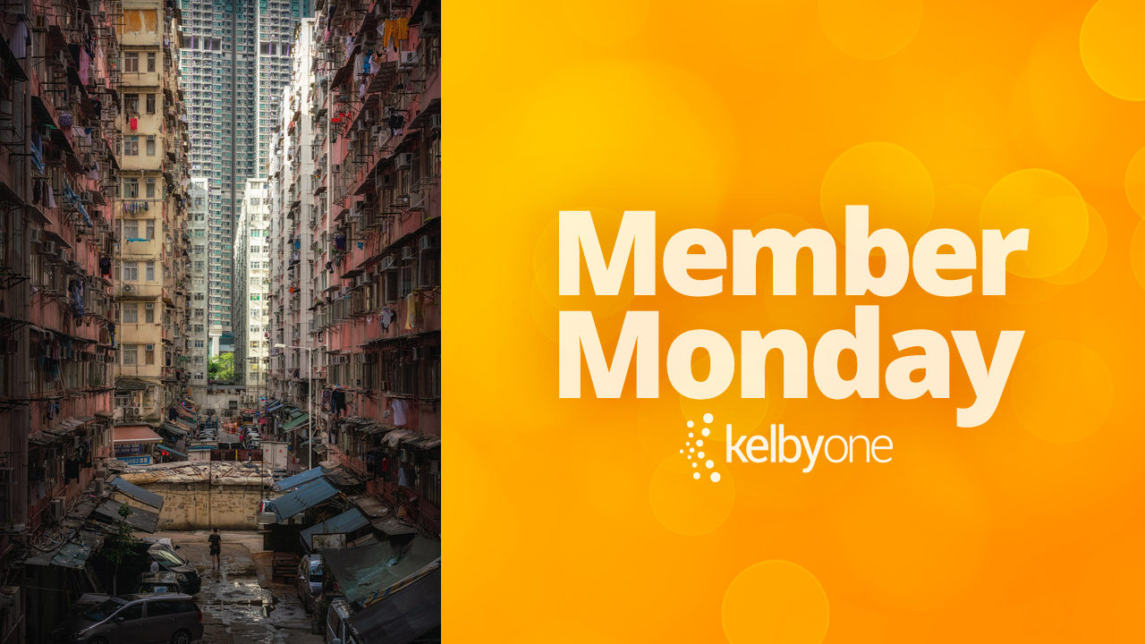 Member Monday Featuring Reinier Snijders