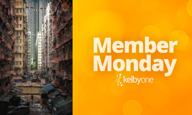 Member Monday Featuring Reinier Snijders