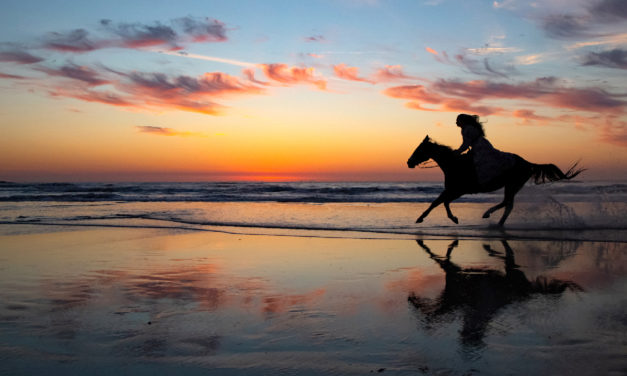 Giddy-Up! It’s Time For Amazing Horse Photographs <BR>by Rick Sammon