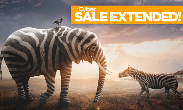 Sale Extended—Get Our Best Price of the Year!