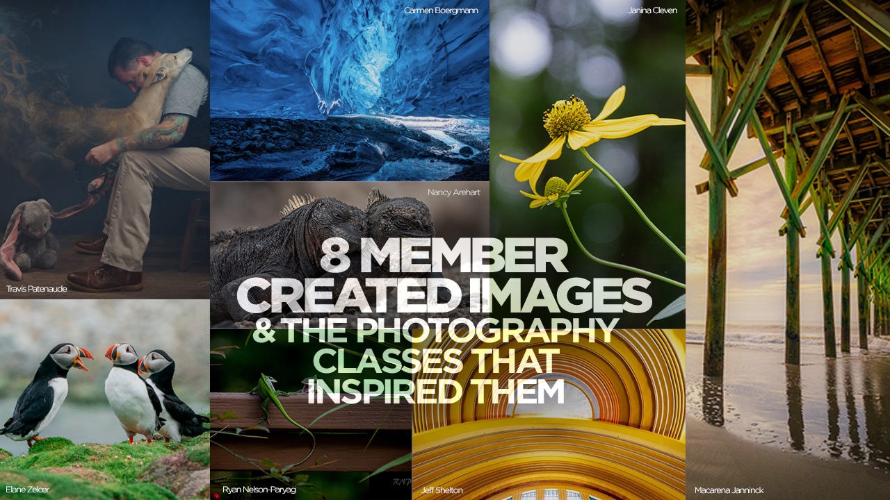 8 Member Created Images and the Photography Classes That Inspired Them