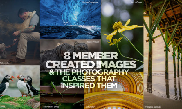 8 Member Created Images and the Photography Classes That Inspired Them