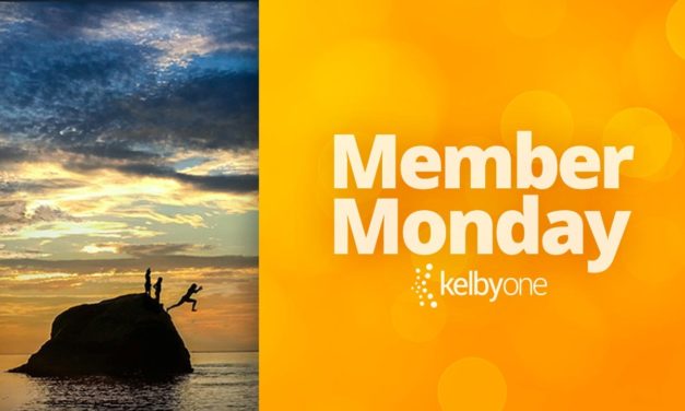 Member Monday Featuring Judy Lindo