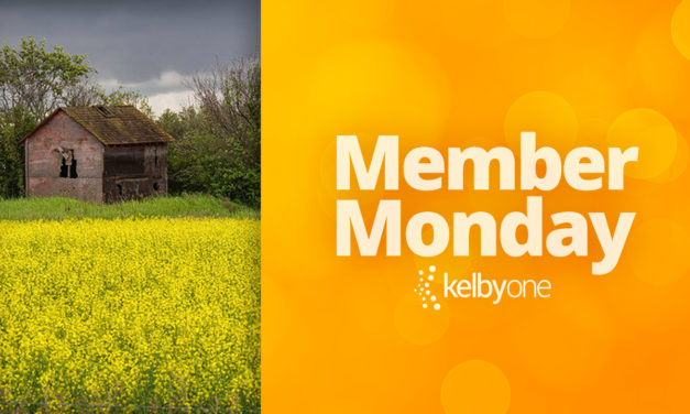 Member Monday Featuring Brian Kraft