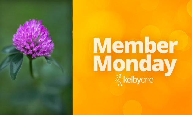 Member Monday Featuring Colleen Malley