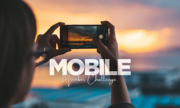 Member Challenge 46 | Mobile