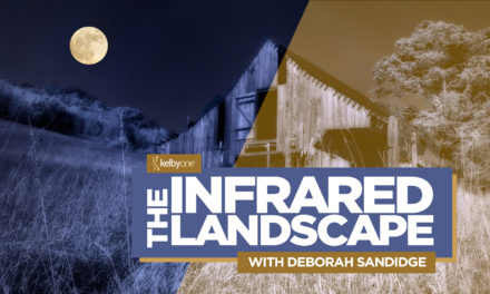 New Class Alert! The Infrared Landscape with Deborah Sandidge