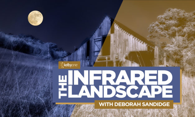 New Class Alert! The Infrared Landscape with Deborah Sandidge